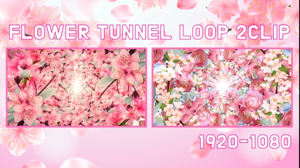 Flower Tunnel 2 Clip Loop Background