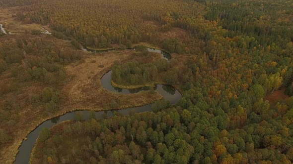Aerial View - Flying Over River And Forest Beautiful Autumn Landscape. Flight Over Wild Lush Forest