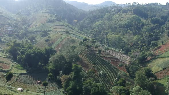 Cinematic Aerial Clip of Cultivated Farm Field on a Hill