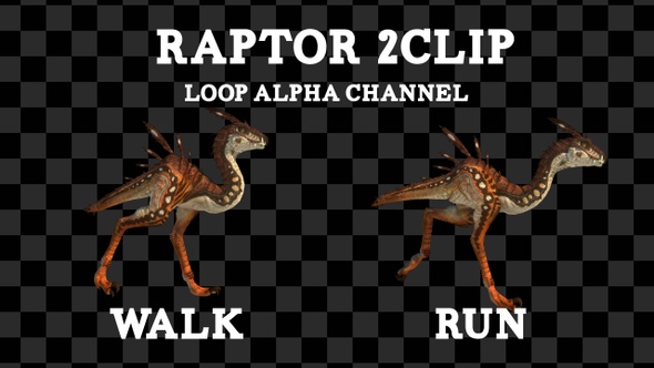 Raptor 2clip Loop