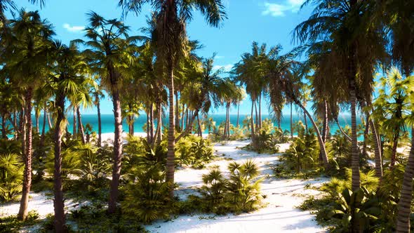 Paradise Landscape of Tropical Beach with Calm Ocean Waves and Palm Trees alt