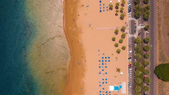 View From the Height of the Golden Sand, Palm Trees, Sun Loungers, Unrecognizable People on the alt