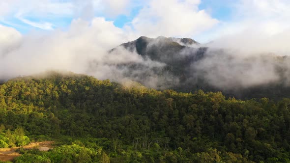 Mountains with Rainforest and Clouds alt