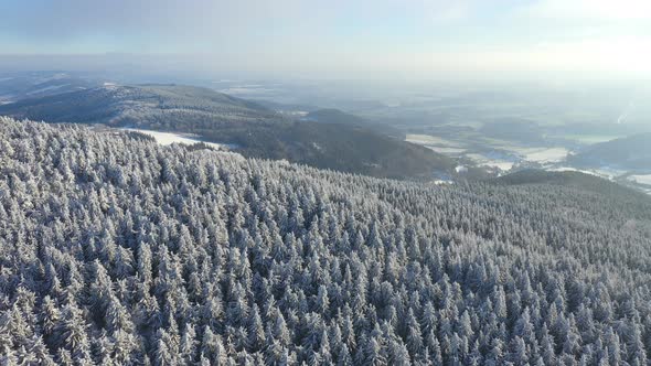 Aerial View of White Spruce Trees Covered in Fresh Snow on Sunny Winter Day in Czech Republic alt