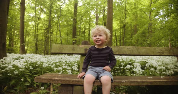 Adorable and Happy Toddler Sitting By the Wooden Bench in the Forest Woods alt