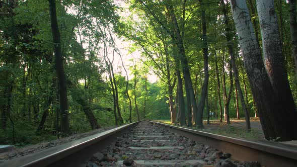 The Suburban Railway In Forest alt