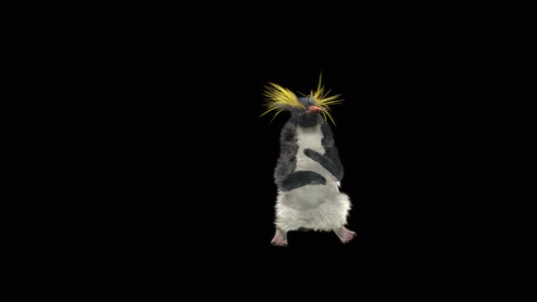 Penguin Dancing 4K alt