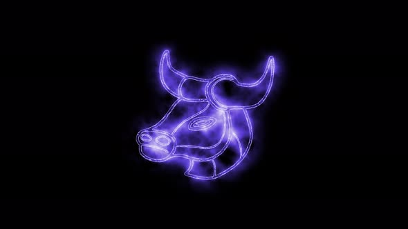 The Taurus zodiac symbol animation, horoscope sign lighting effect purple neon glow
