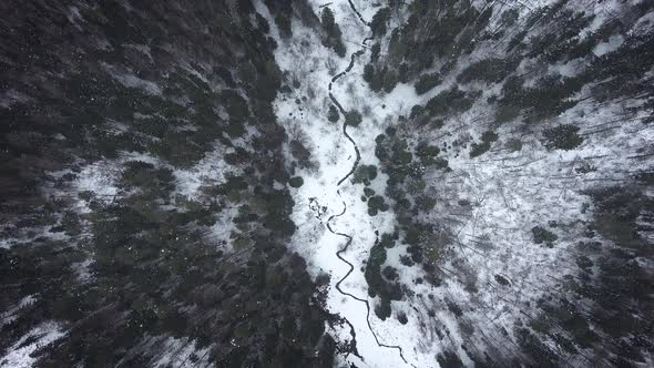 Aerial view of a wild cold winter forest. Flight to the clouds alt
