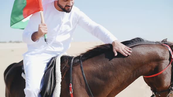 Arabian man with his horse alt