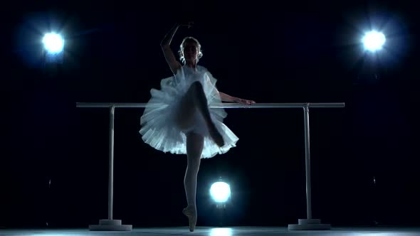 Classic Ballet Dancer in White Tutu Posing on One Leg at Ballet Barre alt