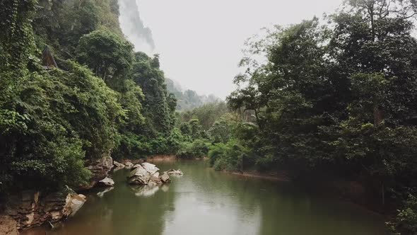 Aerial Shot Above the River Between Jungle Trees