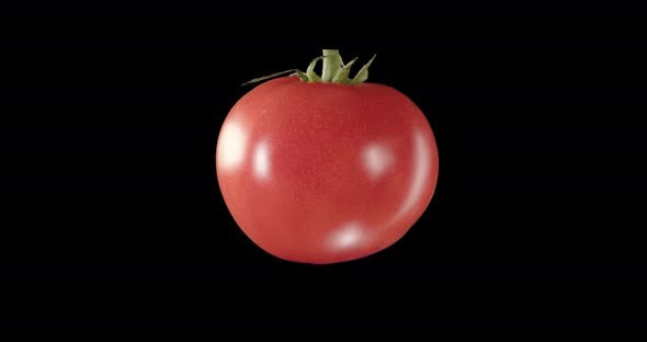 Organic Food. Tomato. Vegetable. Alpha Channel alt