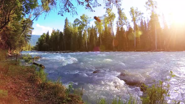 Meadow at Mountain River Bank alt
