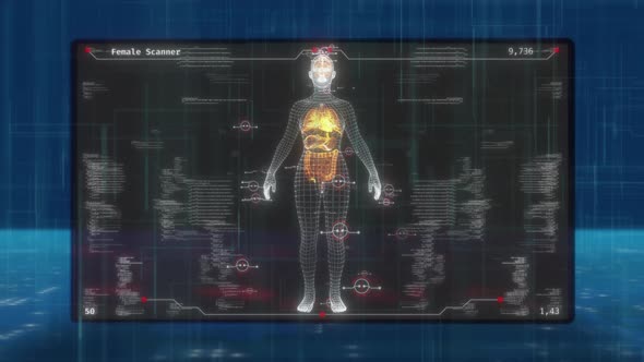 HUD UI Female Body Scanner alt