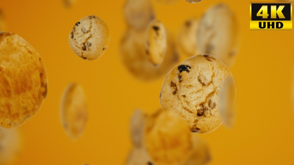 Cookies Background Loops Pack V2 alt