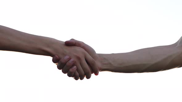 Handshake, shaking hands, handshaking. Two handed gesture. Isolated on white background. Two Friendl