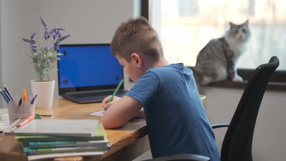 Online distance learning education lesson concept. Child Boy Kid schoolboy with teacher using tablet alt