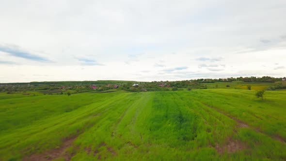 Aerial Drone View of Green Agricultural Field in the Countryside of Ukraine