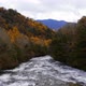 River And Autumn Trees - VideoHive Item for Sale