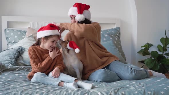 Happy Woman in Santa Hat with Girl Daughter and Smiling Jack Russell Terrier Dog Sit on Beautiful alt