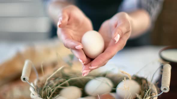 Closeup Female Hands of Agricultural Worker Hiding Chicken Egg alt