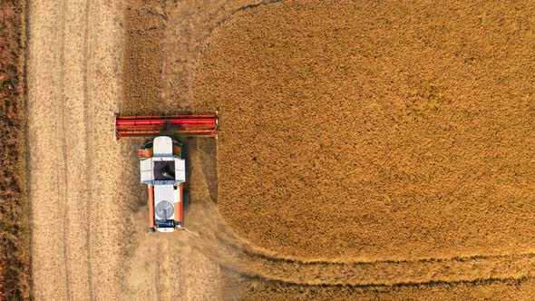 Top view of red harvester harvesting seed, aerial view alt