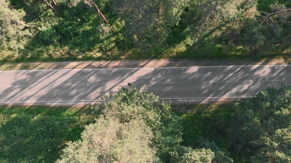 Empty car road in forest at sunset alt