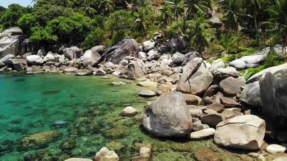 Tropical Palms and Stones on Small Beach. Many Green Exotic Palms Growing on Rocky Shore alt