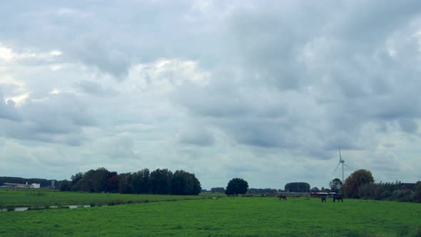 Time lapse shot of rural dutch landscape with horses on meadow,stream and moving cloudscape. alt
