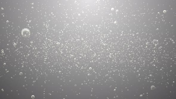 Sparse Silver Soda Bubbles Background with Loop