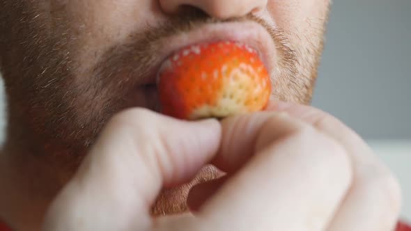 a Cute and Sexy Man with a Beard Takes a Bite of Red Ripe Strawberries with Cream