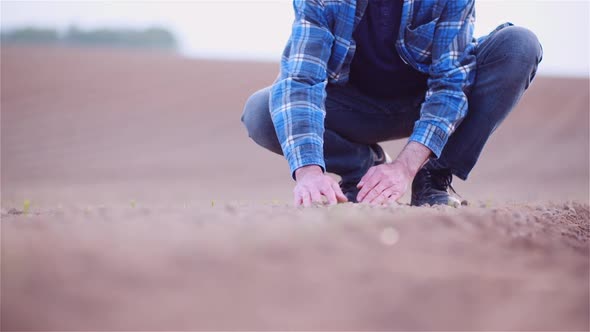 Farmer Examining Organic Soil in Hands, Farmer Touching Dirt in Agriculture Field alt