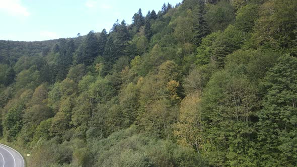 Nature of Ukraine: Carpathian Mountains Slow Motion. Aerial View alt