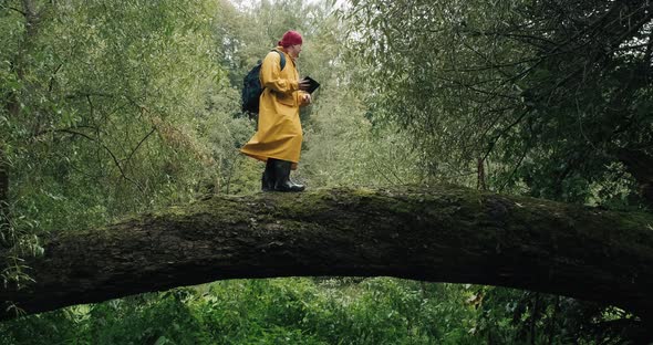 Hiker with Phone in a Yellow Raincoat with a Backpack Walking on a Fallen Tree alt