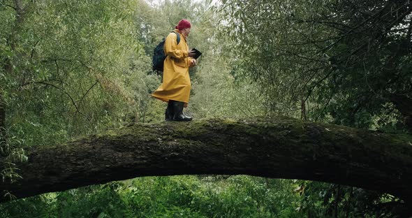 Hiker with Phone in a Yellow Raincoat with a Backpack Walking on a Fallen Tree