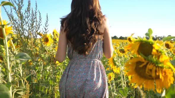 Unrecognizable Brunette Running Through Yellow Sunflower Field alt