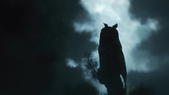 Awakening Owl Sitting On Tree Illuminated By Bright Moonlight