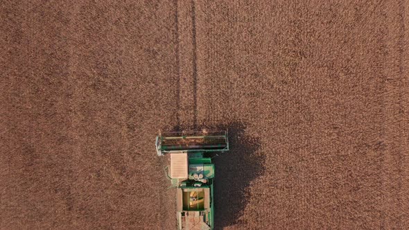 Green Autonomous Combine Harvests Yellow alt