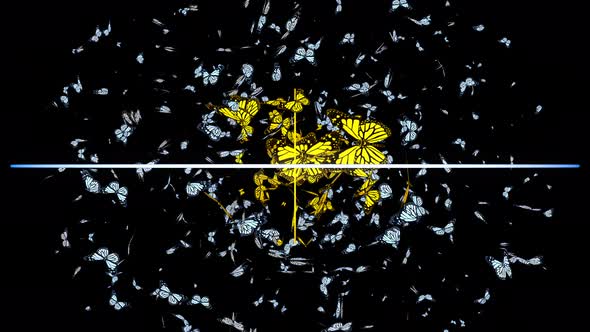 Yellow Butterflies alt