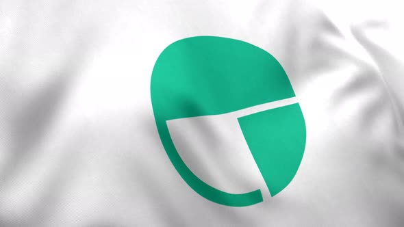 Nagano City Flag (Japan) - 4K alt