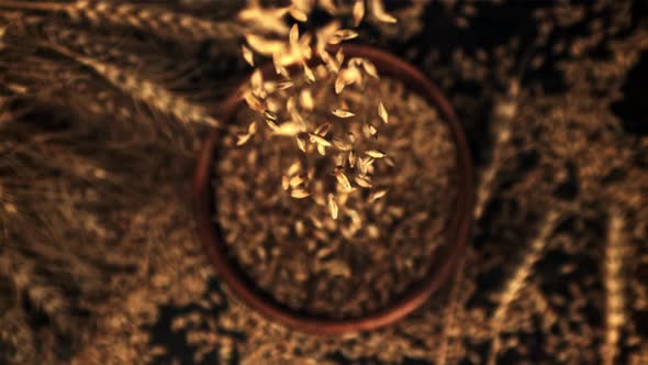 The Super Slow Motion of Rye Grains Fall Onto a Wooden Plate alt