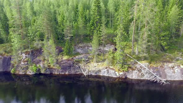 Drone footage of storm fallen old pine trees on a steep cliff in the boreal wilderness. Drone slidin alt