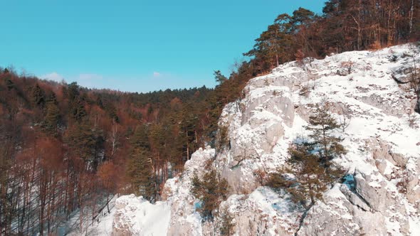 Drone Footage of Wawoz Bolechowicki a Landscape Nature Reserve in the Valley of Krakow alt