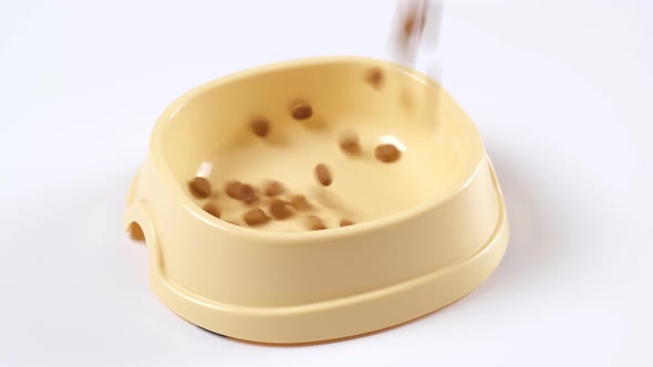 Dry food for cats or dogs pours into bowl on white background