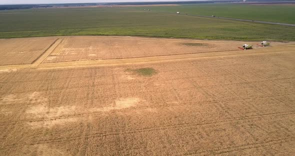 Aerial View Vast Yellow Wheat Field and Combines By Road alt