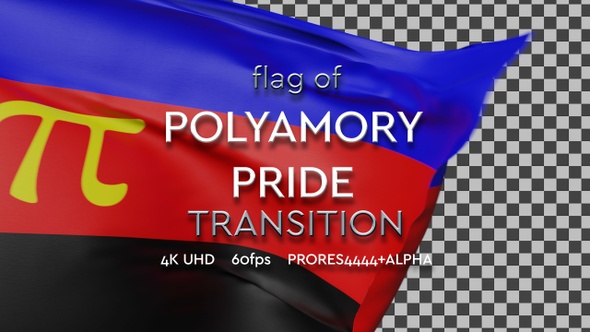 Flag of Polyamory Pride transition | UHD | 60fps alt