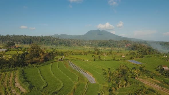 Mountain Landscape Rice Terrace Field Bali Indonesia alt