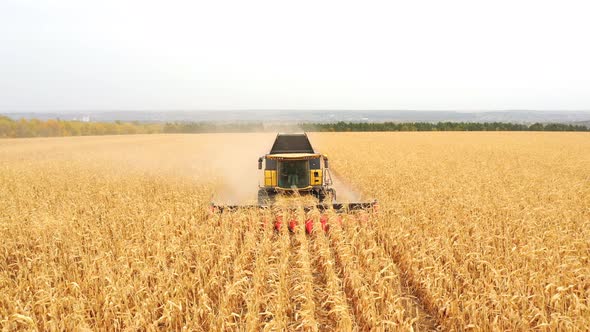 Aerial View of Harvester Gathering Corn Crop in Farmland alt