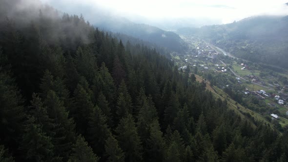 Flying Over the High Mountains with Pine Forest in Beautiful Clouds